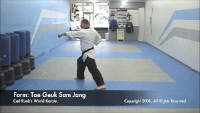 thumbnail of Taegeuk Sam Jang demonstration video